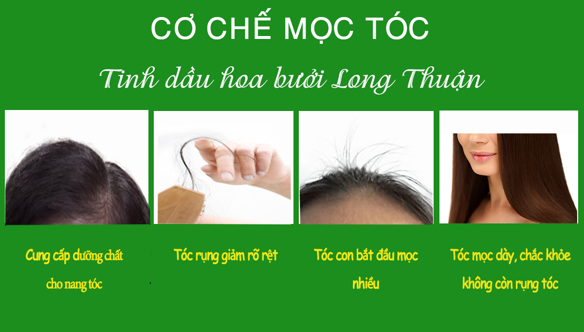 TINH DẦU HOA BƯỞI LONG THUẬN GIÚP TÓC MỌC NHANH NHƯ THẾ NÀO?